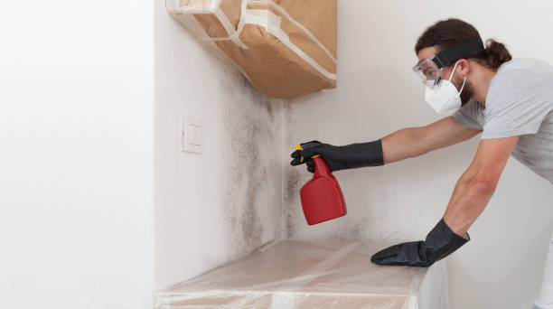 Attic Mold Remediation treatment on roof deck in Hicksville